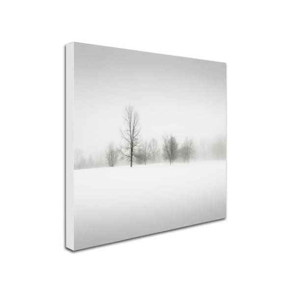 Dave MacVicar 'Winter Fog' Canvas Art,24x24